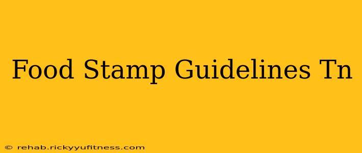 Food Stamp Guidelines Tn