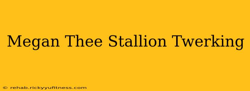 Megan Thee Stallion Twerking