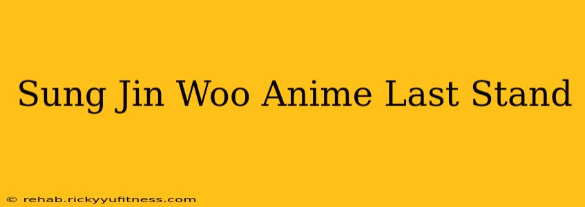 Sung Jin Woo Anime Last Stand