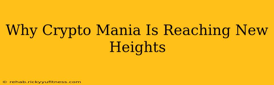Why Crypto Mania Is Reaching New Heights